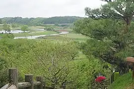 Übersicht