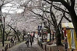 Im Park
