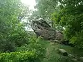Farbfotografie in der Untersicht von einem Hügel  mit einem kleinen Felsen an der Spitze. Der ovale Felsen ragt teilweise in die Höhe. Um ihn sind viele Bäume und Büsche.