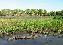 Nationalpark Kakadu