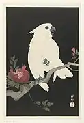 Vogel, 1936