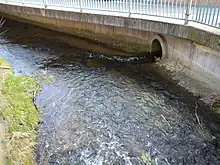 des Kalbachs,