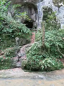 Kohlerhöhle mit Funden aus dem Magdalénien