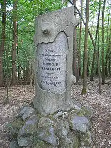 Steinerner Baum bei Štěchovice