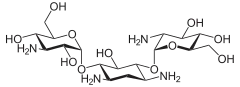 Struktur von Kanamycin C
