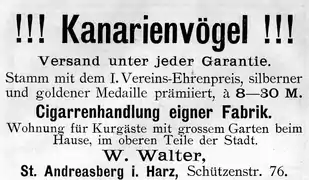 Kanarienvögel von W. Walter