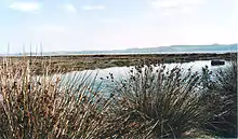Lagune
