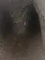 Aufgabelung des Stollens etwa 20 Meter hinter dem Höhleneingang