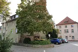 Küche