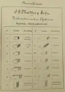 Tabelle von Verblendsteinen NF