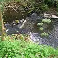 Das Wehr am Stevenston Burn im Kerelaw-Tal
