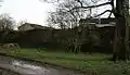 Die letzten Überreste des eingefriedeten Gartens der Burg 2008
