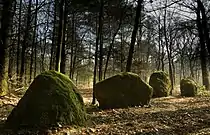 Steinreihen von Kersolan