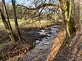 Bachlauf im Adamstal
