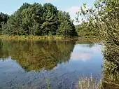 Naturschutzgebiet Kiehnmoor bei Eimke