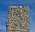 Knotenmuster