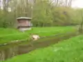 Der Pegel an der Kinzig