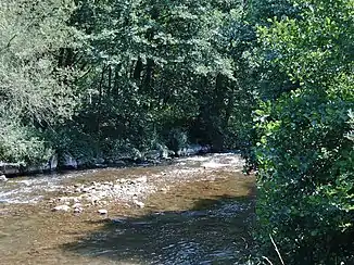… und bei Schenkenzell