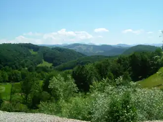Landschaft am Königssteig