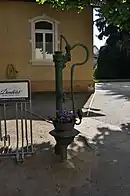 Pumpe