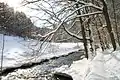 Winter im Sebnitztal bei Ulbersdorf