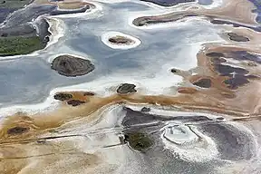 Salzsee und typische Versalzung der Flächen im Nationalpark