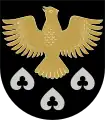 Wappen von Kiuruvesi