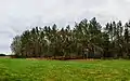 Klausgartenberg aus Norden