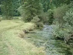 Die Kleine Ammer im Weidmoos