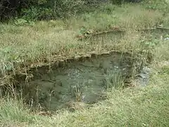 Kleiner Quelltrichter im Weidmoos