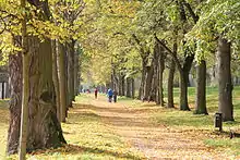 Allee