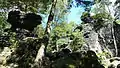 Felsen am Gipfelplateau