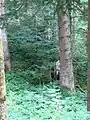 Kleinunterstand Schüsselbach Im Fang A 7270