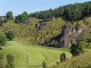 Wacholderhänge bei Kleinziegenfeld