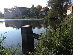 Mönch desKlosterweihers Wald