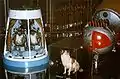 Hunde im Weltraum