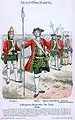 Knötel, Band II, Tafel 36: Kur-Sachsen. Infanterie-Regiment Du Caila. 1730
