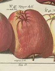 Roter Krieger