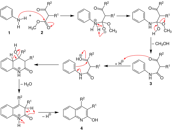 Knorr-Chinolinsynthese Mechanismus V3