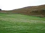 Knowes Hill