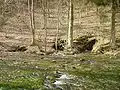 Seitliche Quellaustritte