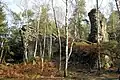 Aufstieg zum Kohlbornstein