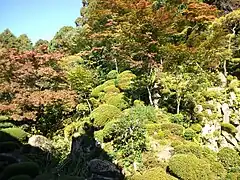 Blick in den Garten