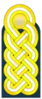 Schulterstück