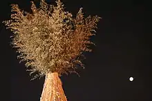 Ein Pyramidenfeuer am Daeboreum