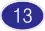N13