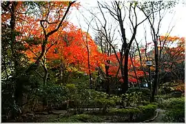 Im Park