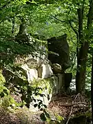 Felsen der Steilstufe im Osten zur Donau hin