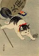 Katze