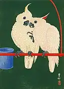 Papageie, 1926